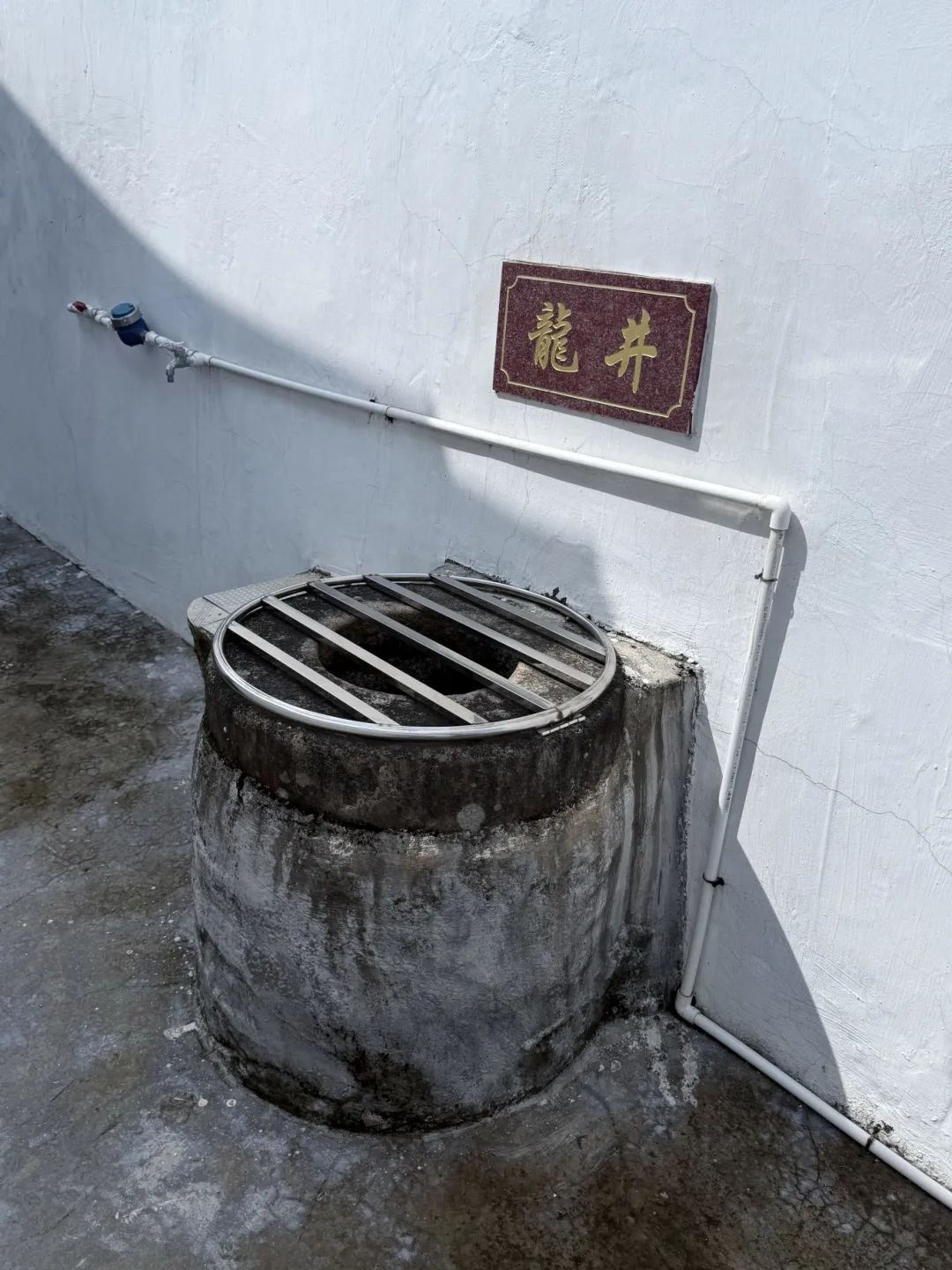 时光的绿意回响3.jpg