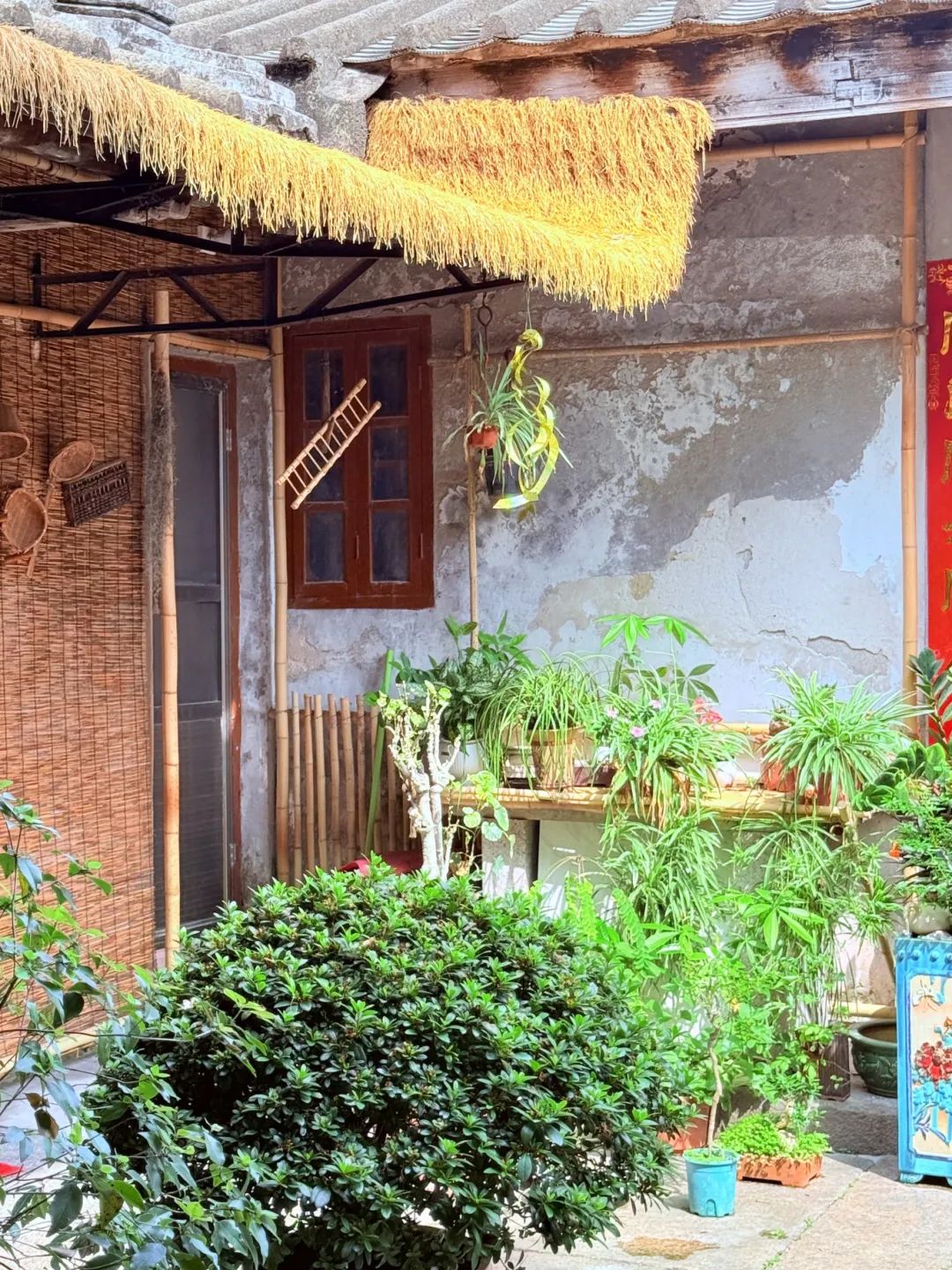 时光的绿意回响2.jpg
